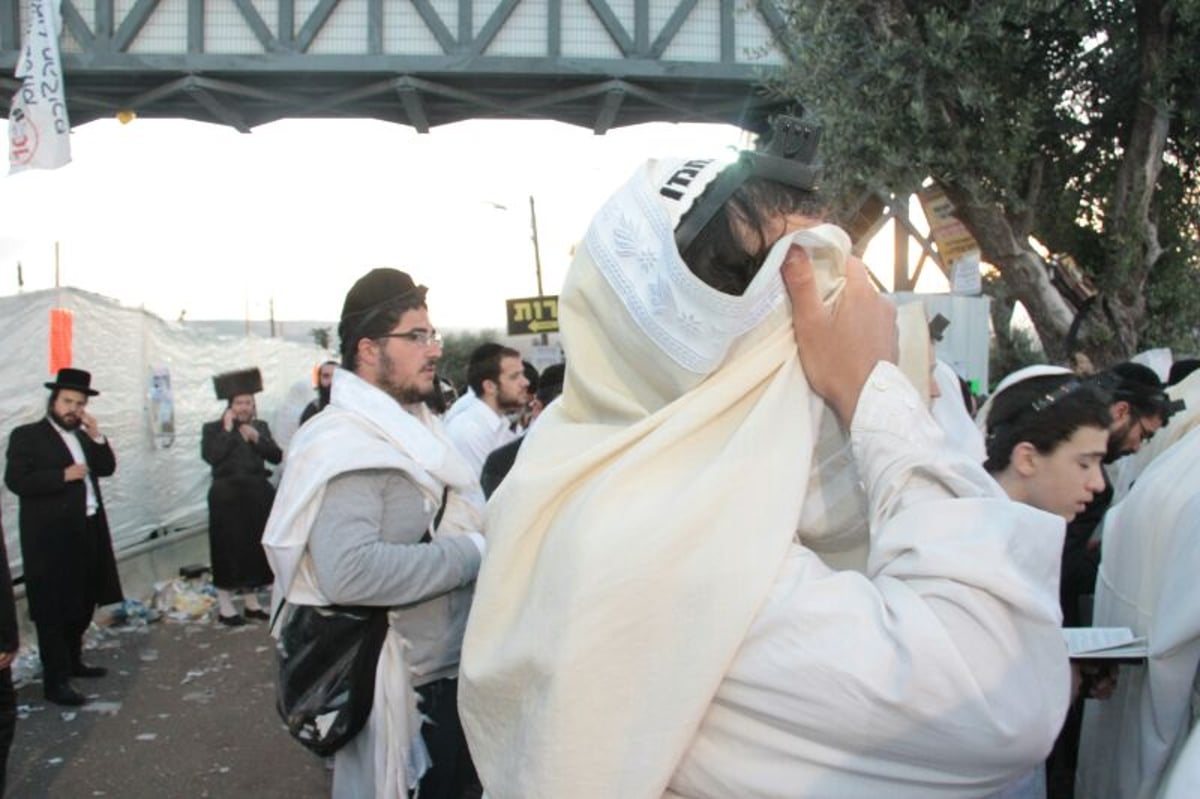 תיעוד ענק: תפילת שחרית סמוך לציון הרשב"י במירון