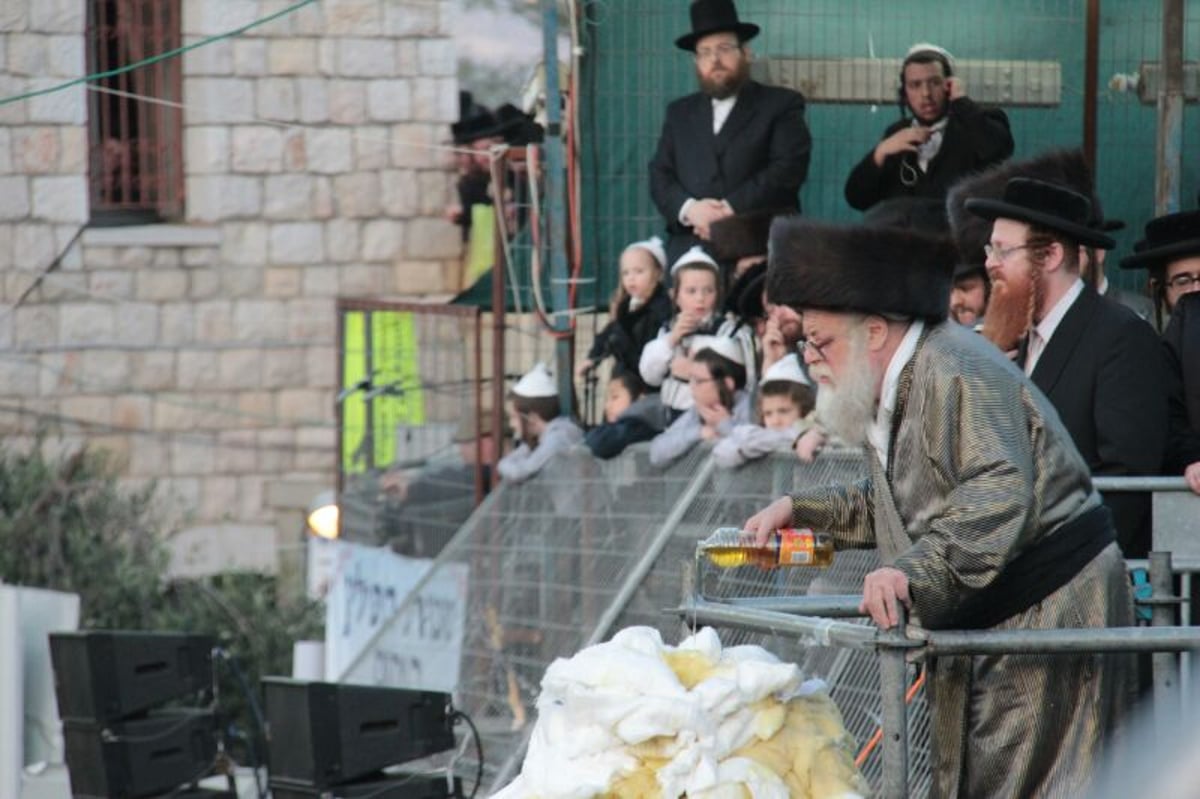 ההדלקה של האדמו"ר מתולדות אהרן  במירון • גלריה