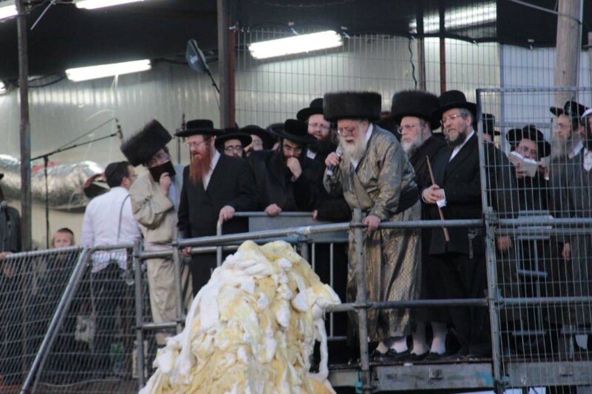 ההדלקה של האדמו"ר מתולדות אהרן  במירון • גלריה