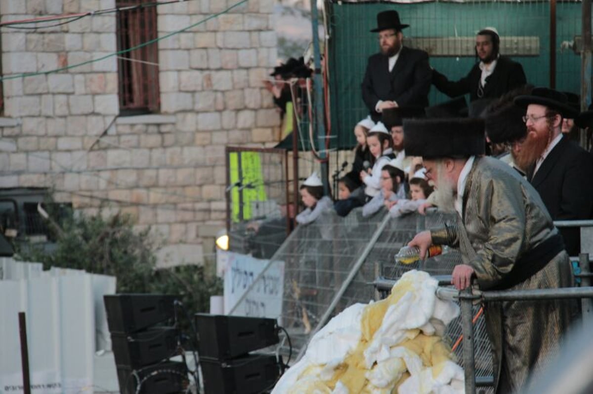 ההדלקה של האדמו"ר מתולדות אהרן  במירון • גלריה