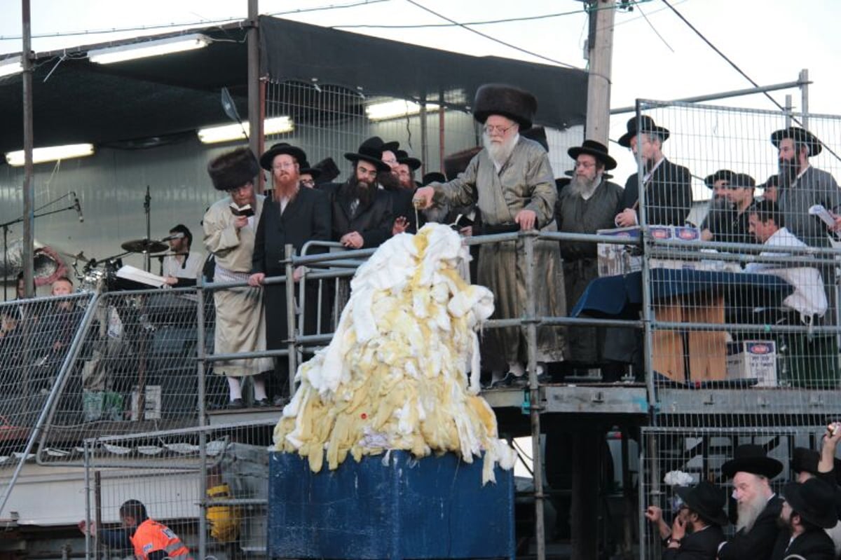 ההדלקה של האדמו"ר מתולדות אהרן  במירון • גלריה