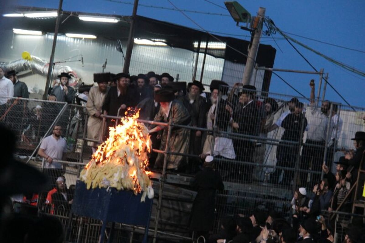 ההדלקה של האדמו"ר מתולדות אהרן  במירון • גלריה