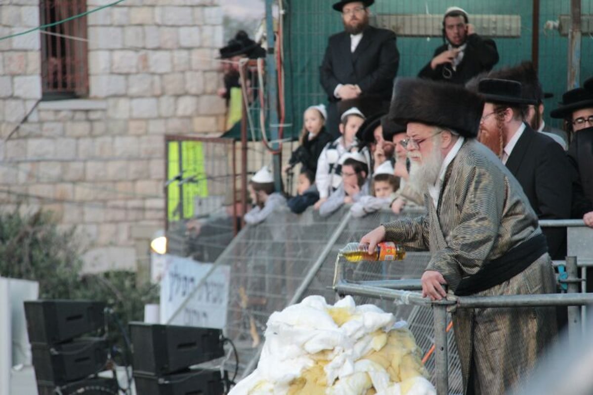 ההדלקה של האדמו"ר מתולדות אהרן  במירון • גלריה