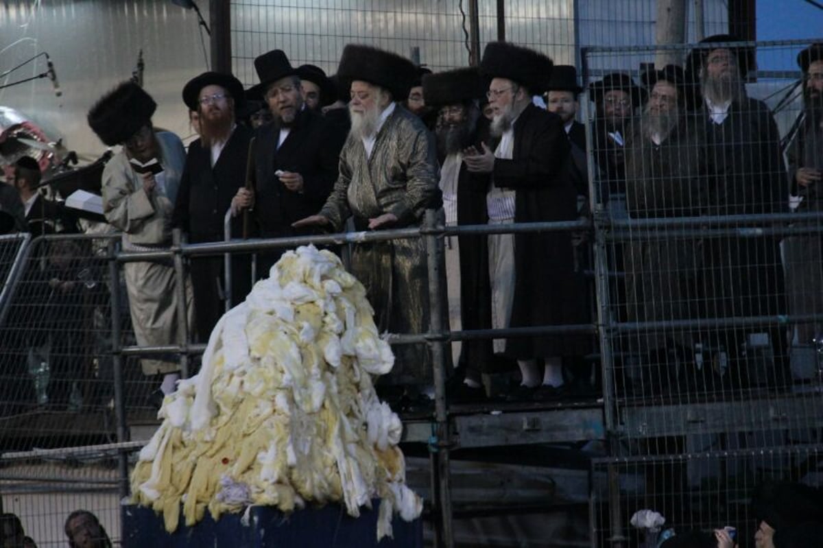 ההדלקה של האדמו"ר מתולדות אהרן  במירון • גלריה