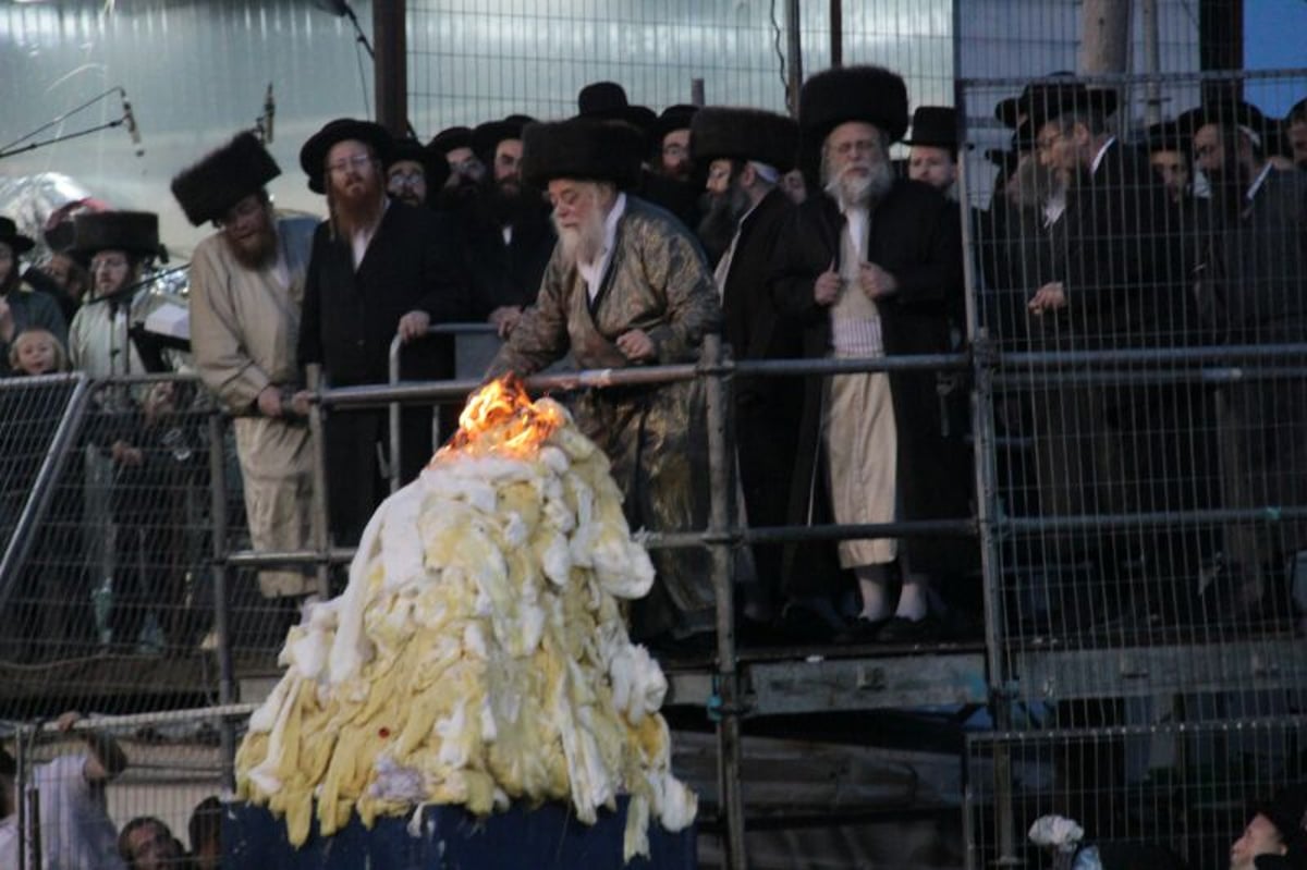 ההדלקה של האדמו"ר מתולדות אהרן  במירון • גלריה