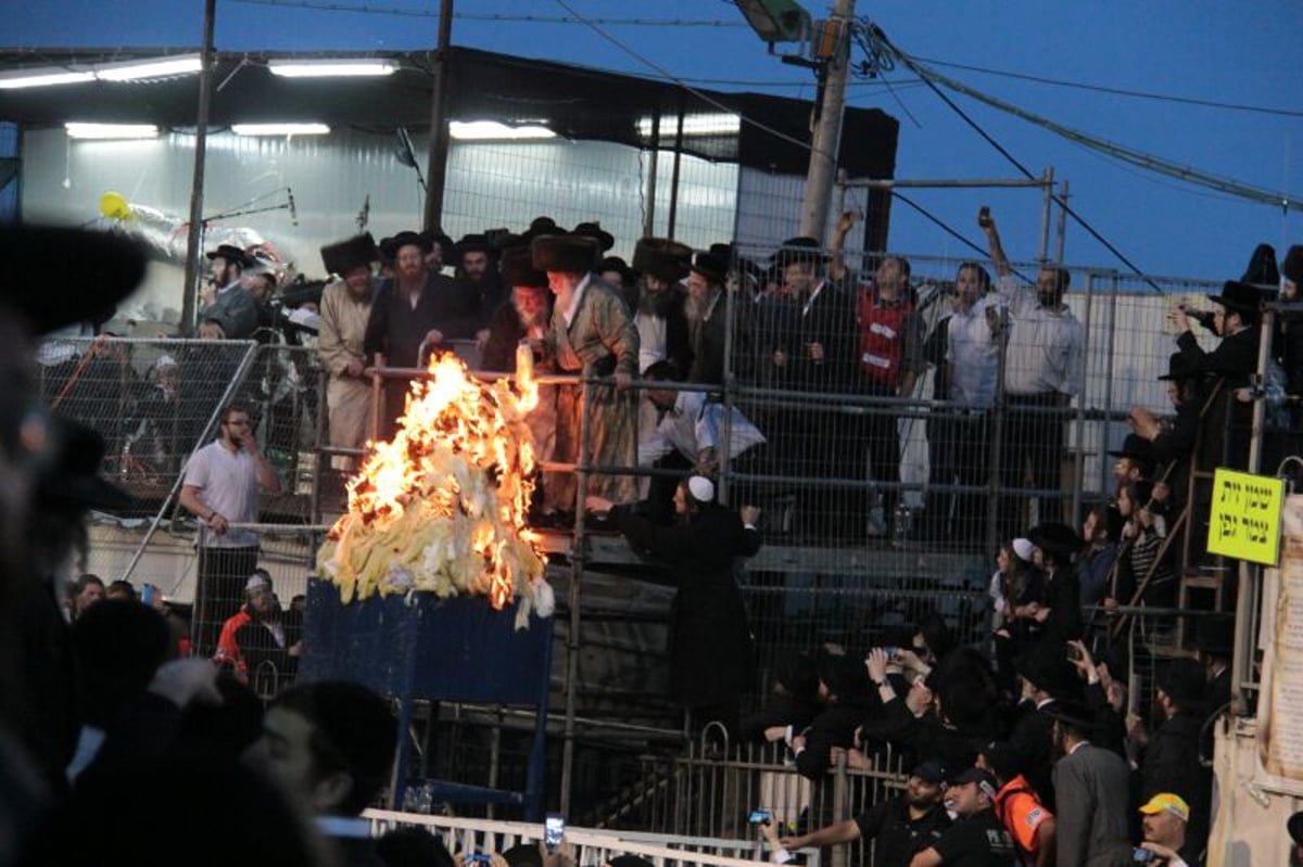 ההדלקה של האדמו"ר מתולדות אהרן  במירון • גלריה