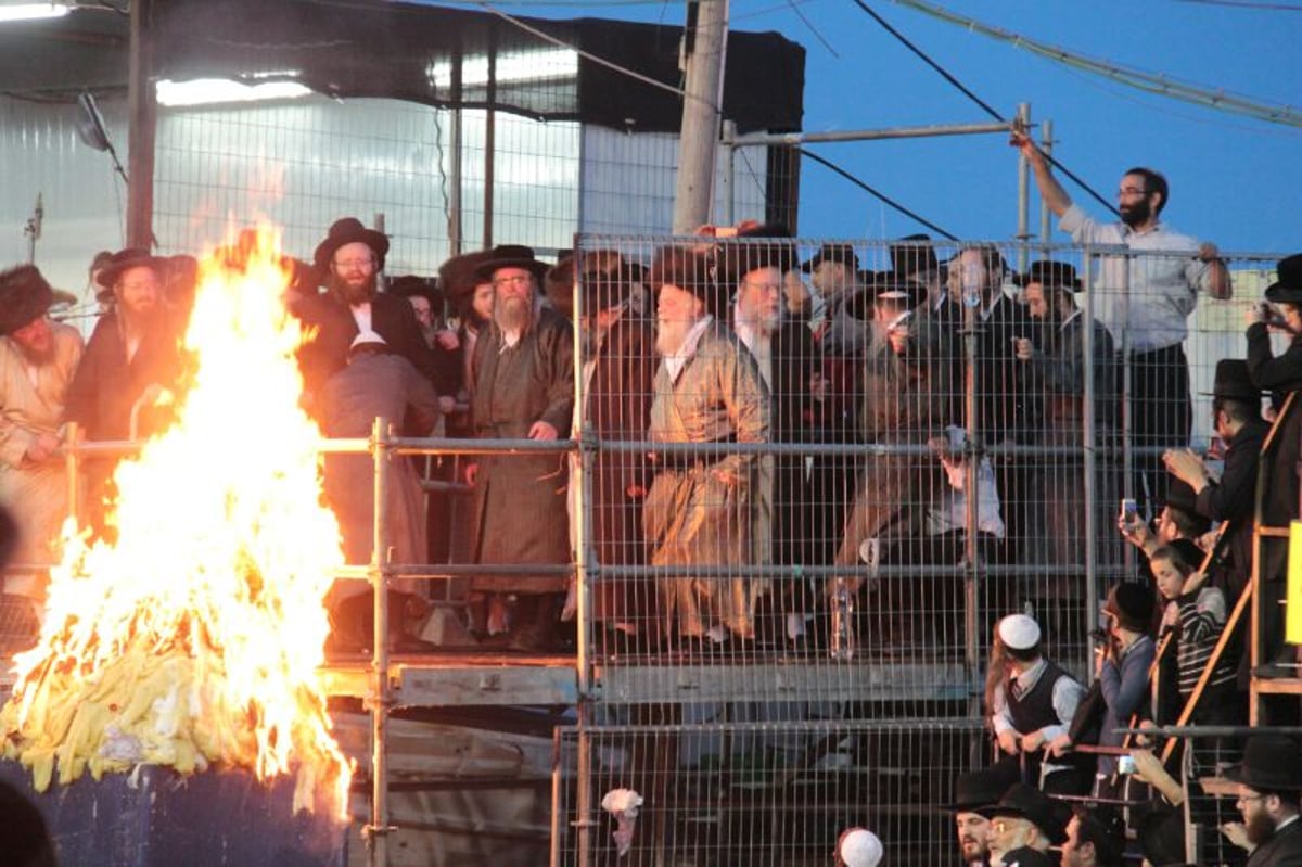 ההדלקה של האדמו"ר מתולדות אהרן  במירון • גלריה