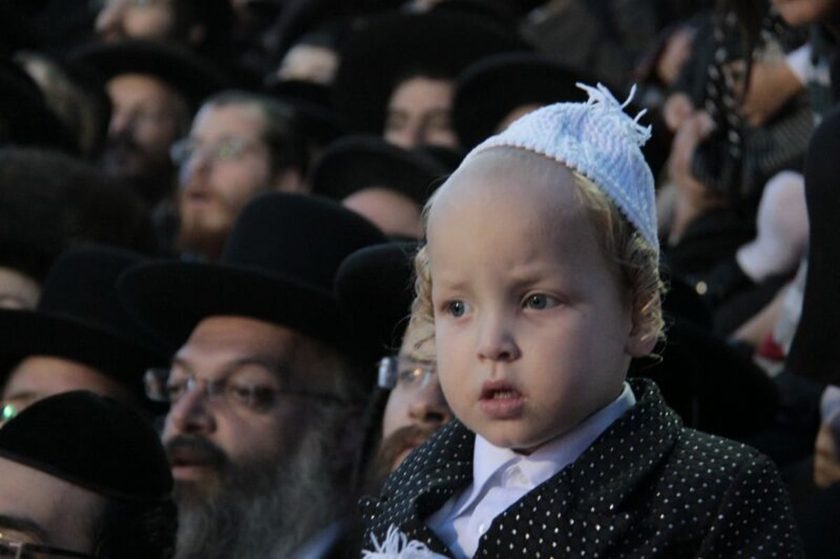 ההדלקה של האדמו"ר מתולדות אהרן  במירון • גלריה