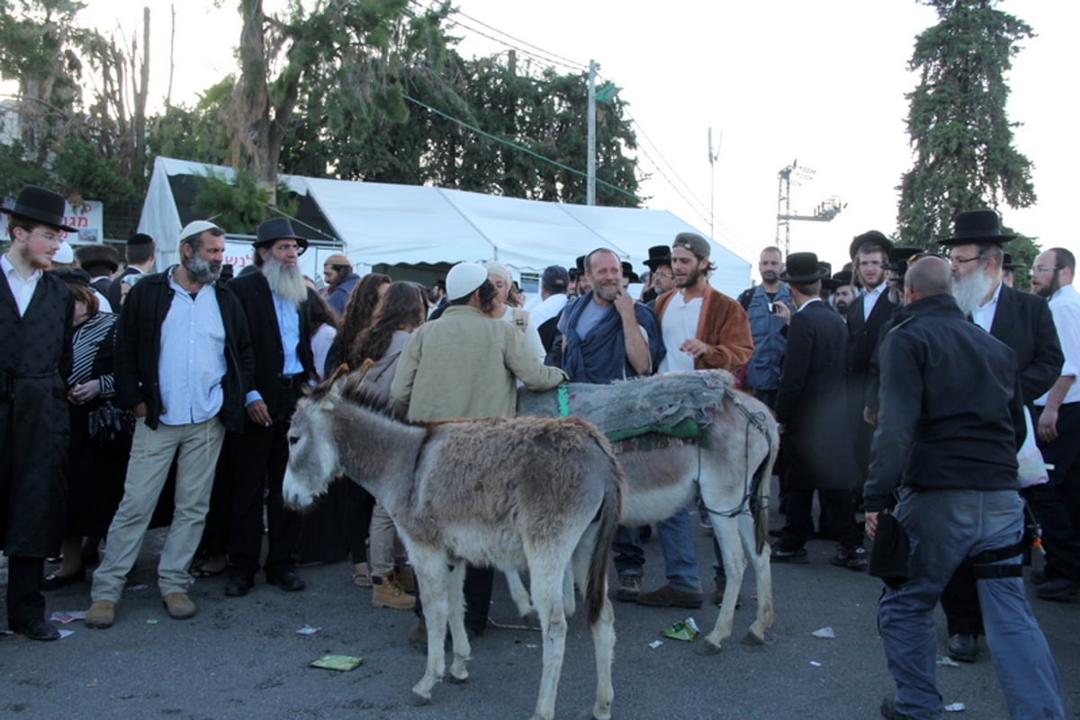 שעת נעילה בציון הרשב"י: צפו בהדלקה הגדולה ביותר