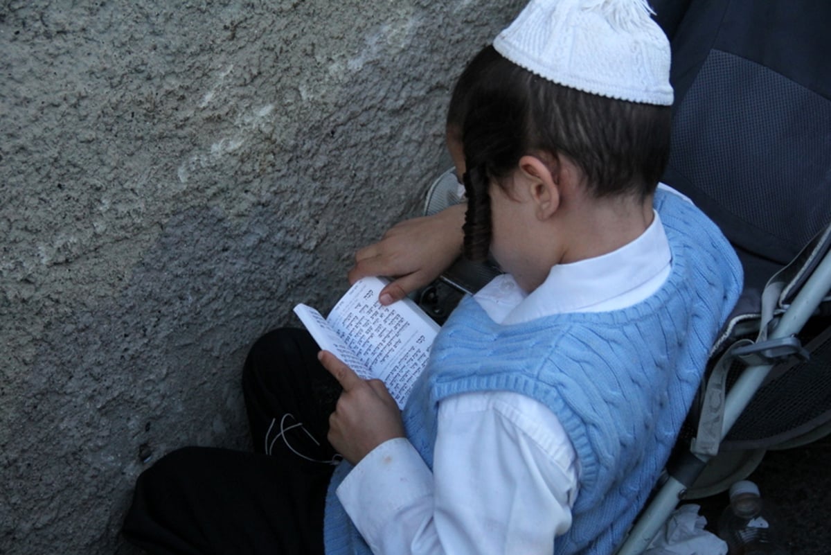 שעת נעילה בציון הרשב"י: צפו בהדלקה הגדולה ביותר