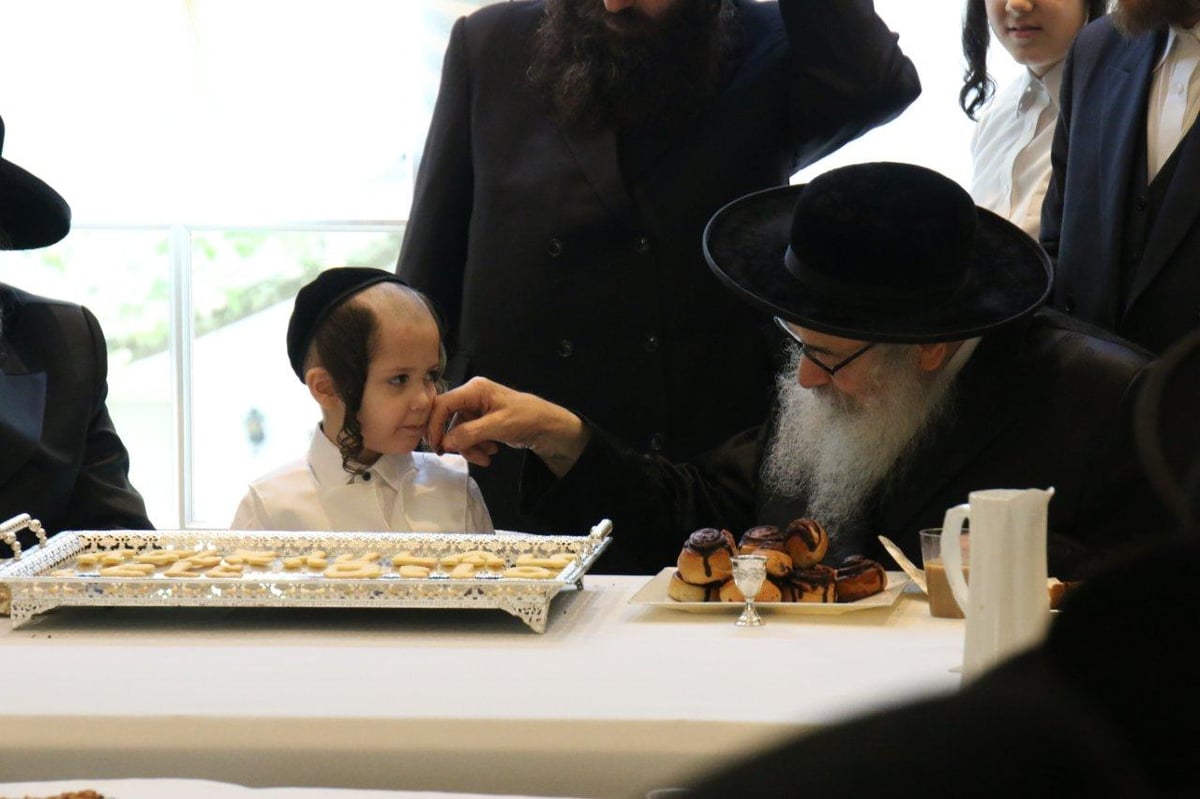 גלריה: בסאטמר חגגו חלאקה לנכד האדמו"ר