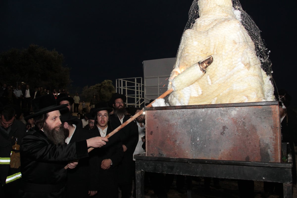 אלפים חגגו בהילולת שמואל הנביא • גלריה