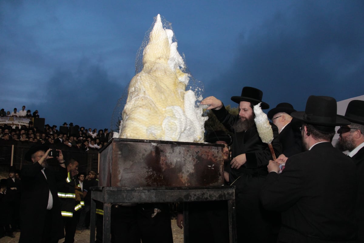 אלפים חגגו בהילולת שמואל הנביא • גלריה