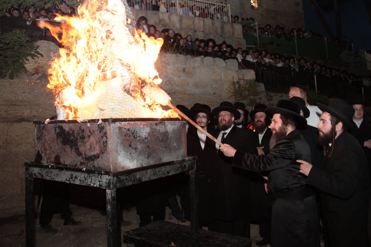 אלפים חגגו בהילולת שמואל הנביא • גלריה