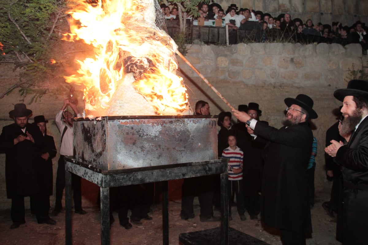 אלפים חגגו בהילולת שמואל הנביא • גלריה