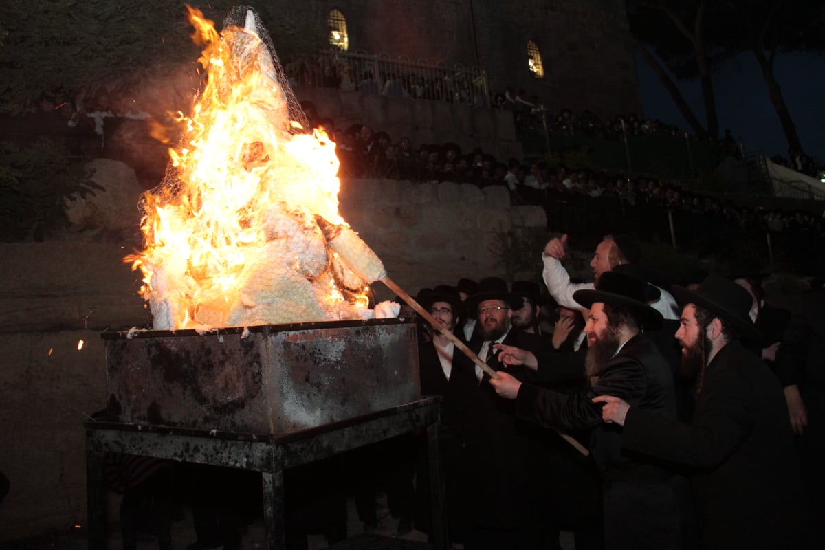 אלפים חגגו בהילולת שמואל הנביא • גלריה