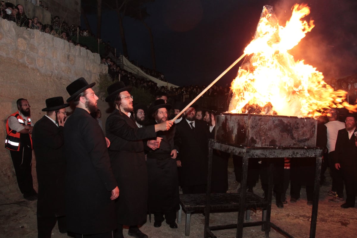 אלפים חגגו בהילולת שמואל הנביא • גלריה