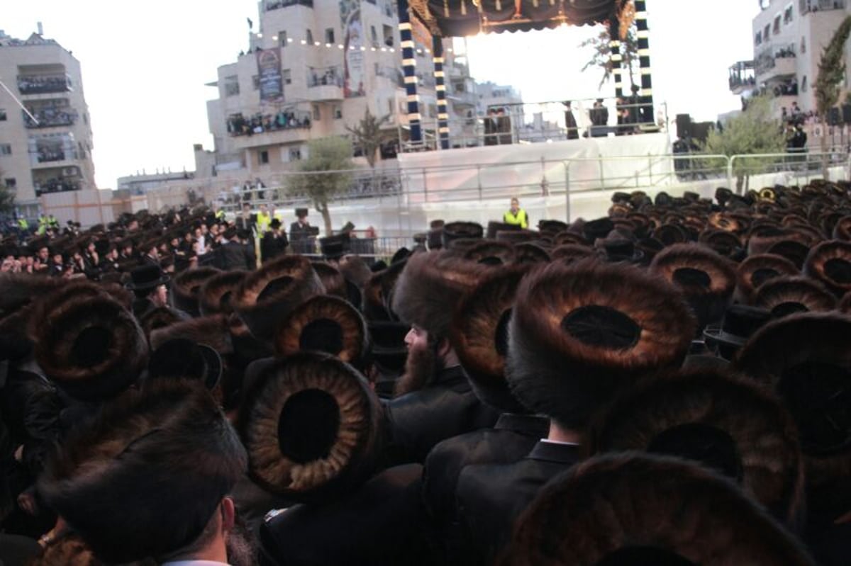 הרבי מבעלזא ברך ב'לחיים' ואלפים שאגו "אמן" • גלריה