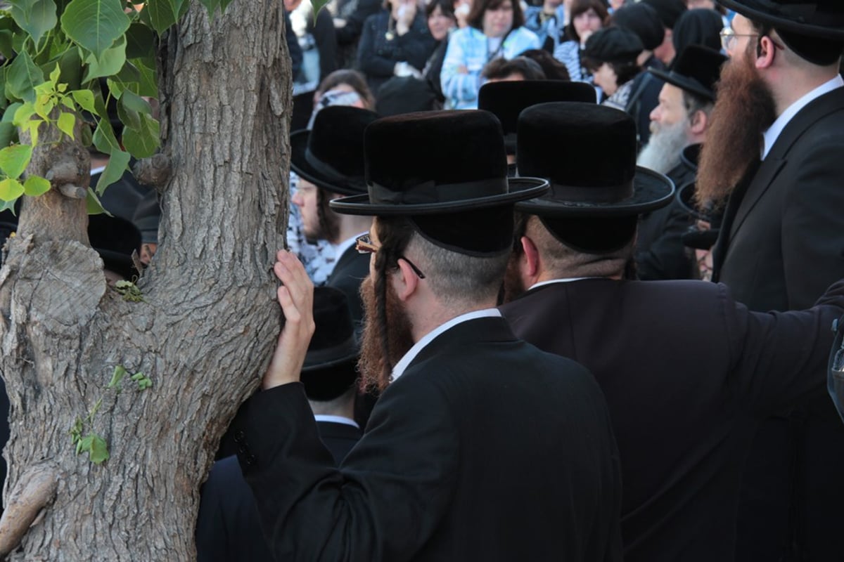 תיעוד כואב: קהל רב בהלווית הרב יוסף וינד ז"ל