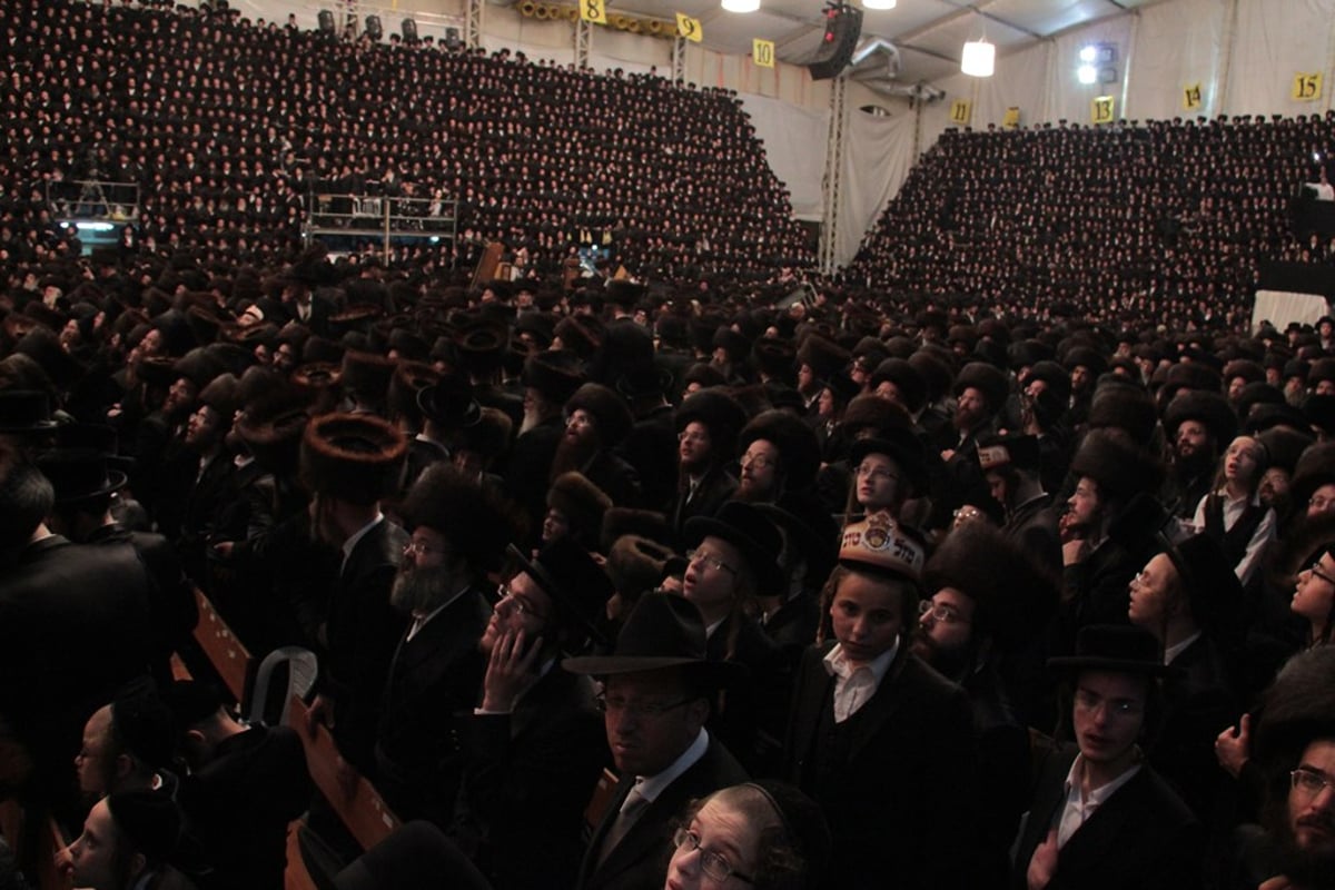 רגע לפני האסון: צפו ב'מצווה טאנץ' בשמחת בעלזא