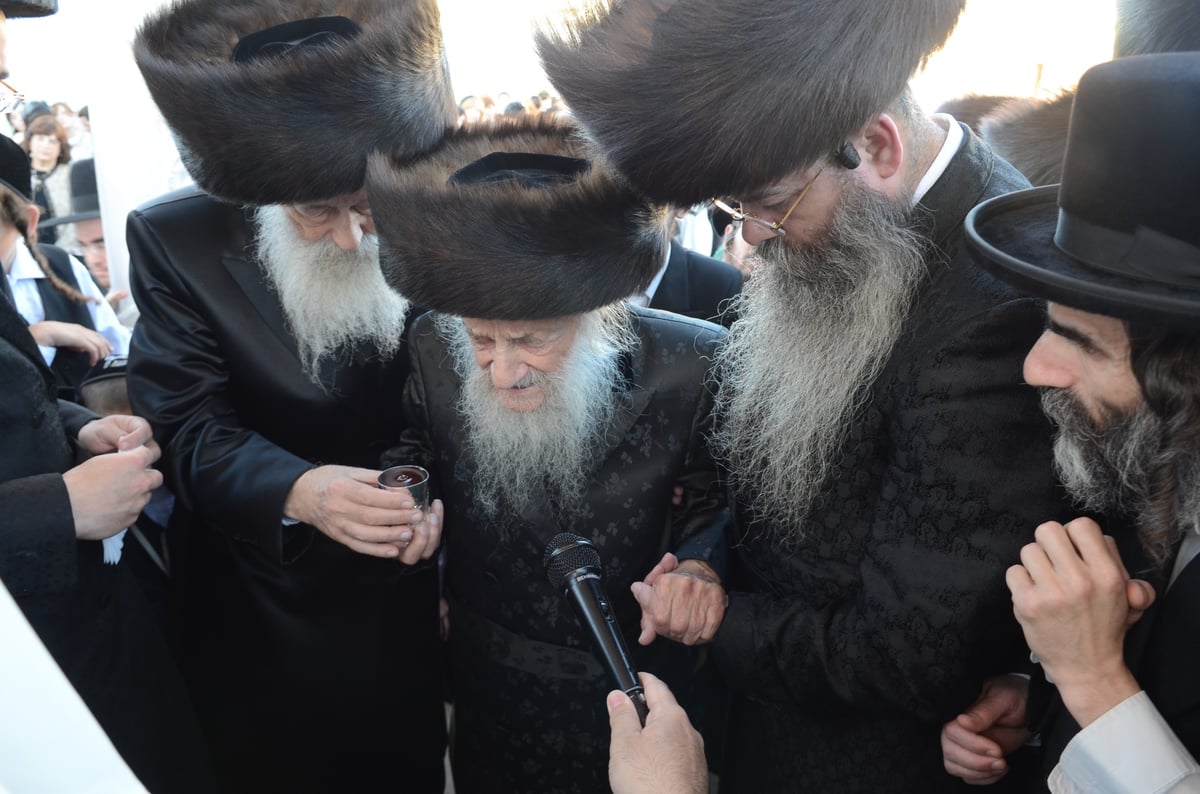 גלריה: הגר"ש וואזנר בחתונת נינתו