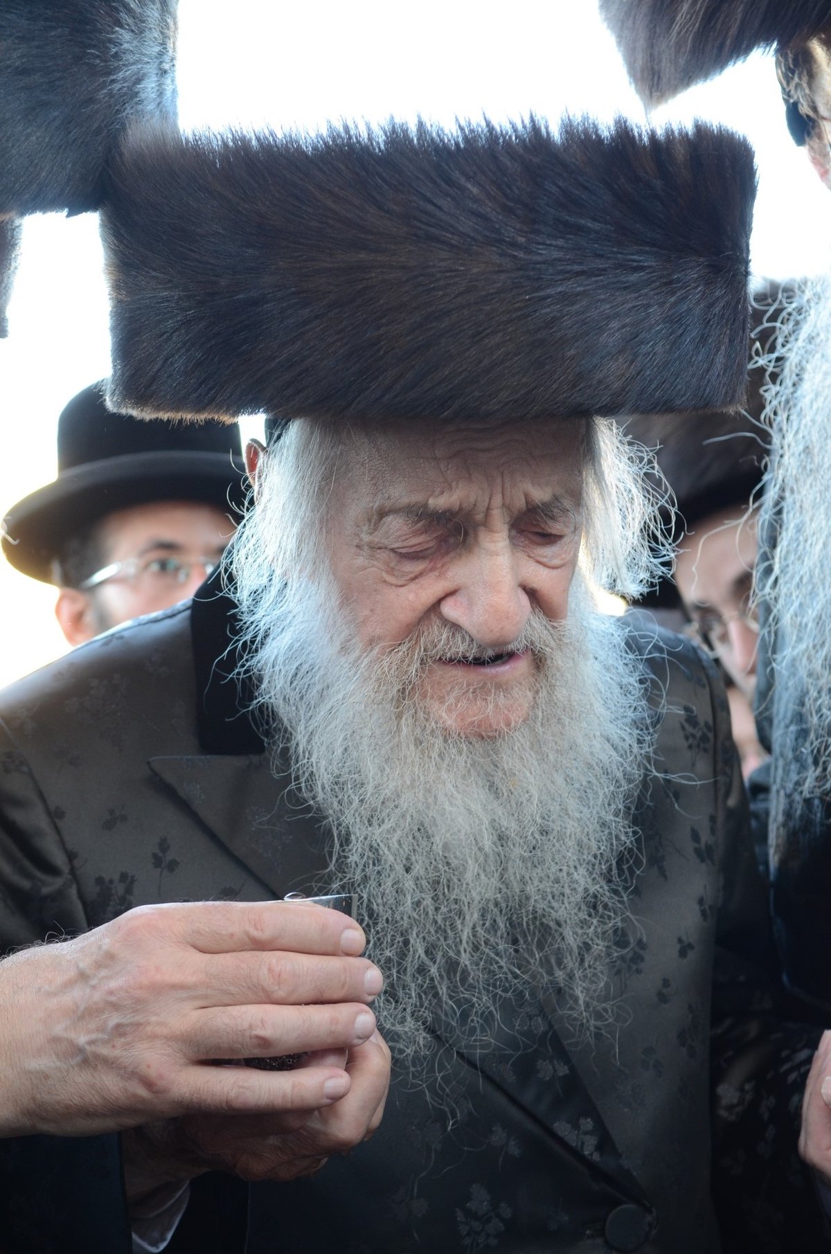 גלריה: הגר"ש וואזנר בחתונת נינתו