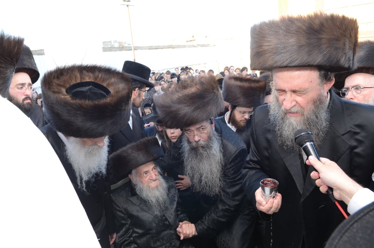 גלריה: הגר"ש וואזנר בחתונת נינתו