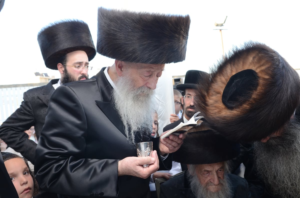 גלריה: הגר"ש וואזנר בחתונת נינתו