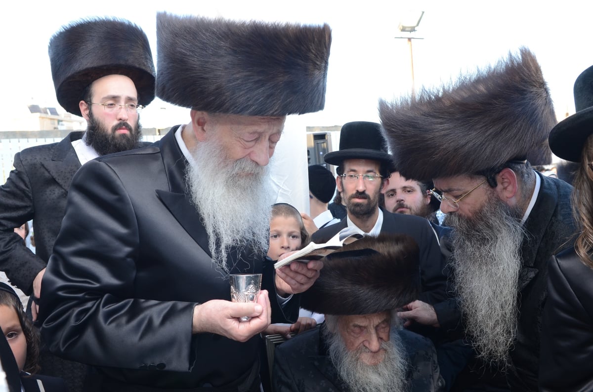 גלריה: הגר"ש וואזנר בחתונת נינתו