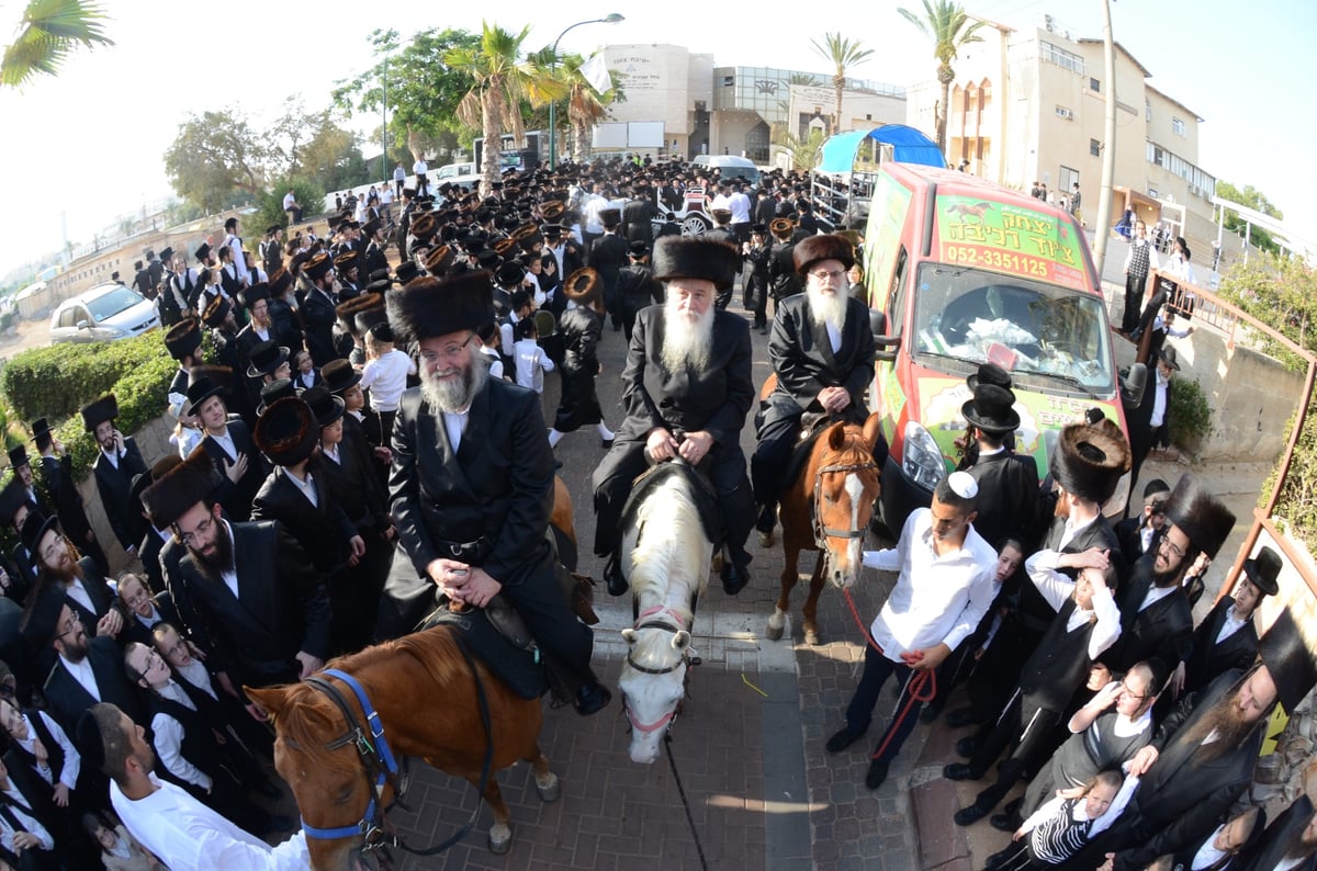 גלריית ענק: חתונת השנה בצאנז