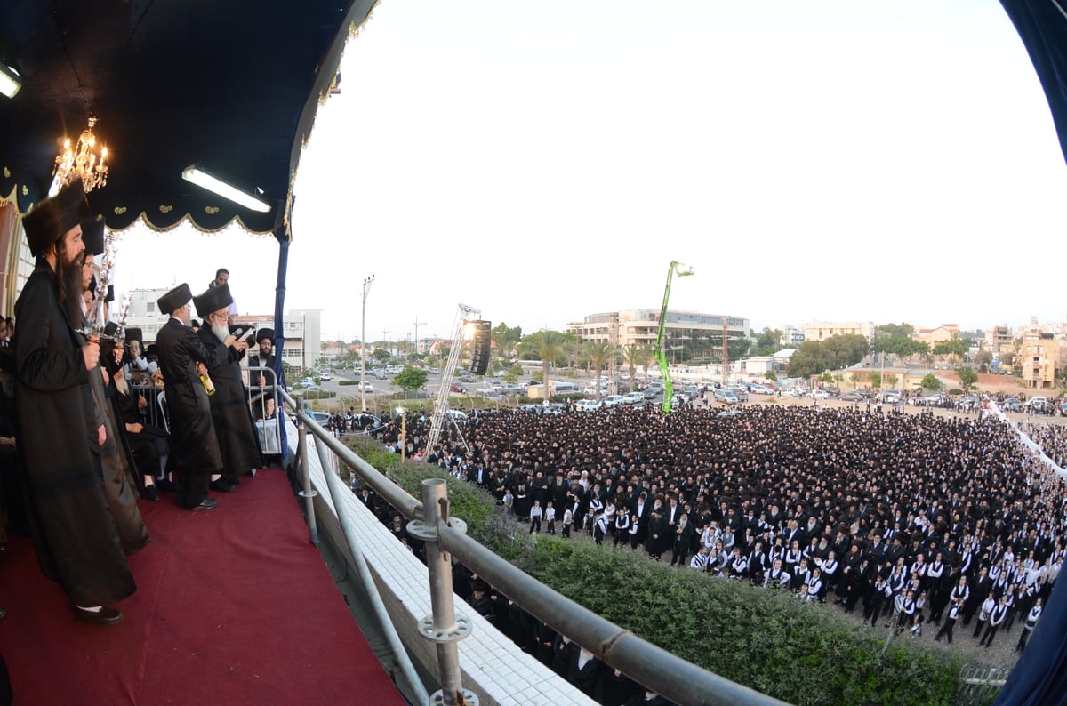 גלריית ענק: חתונת השנה בצאנז