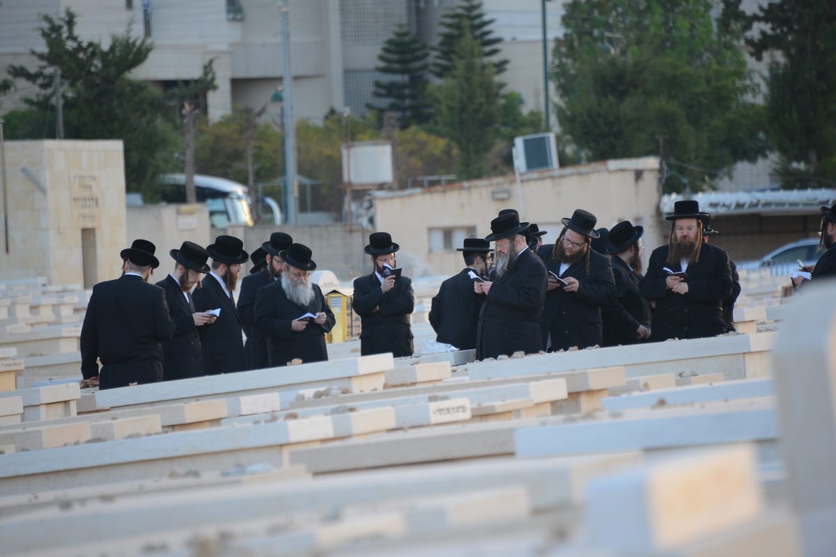 מרן הגראי"ל שטיינמן בקברה של רעייתו • צפו בוידאו וגלריה