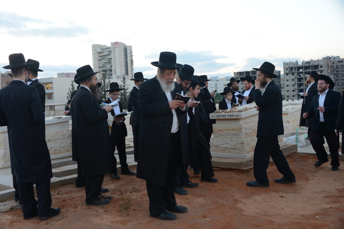 מרן הגראי"ל שטיינמן בקברה של רעייתו • צפו בוידאו וגלריה