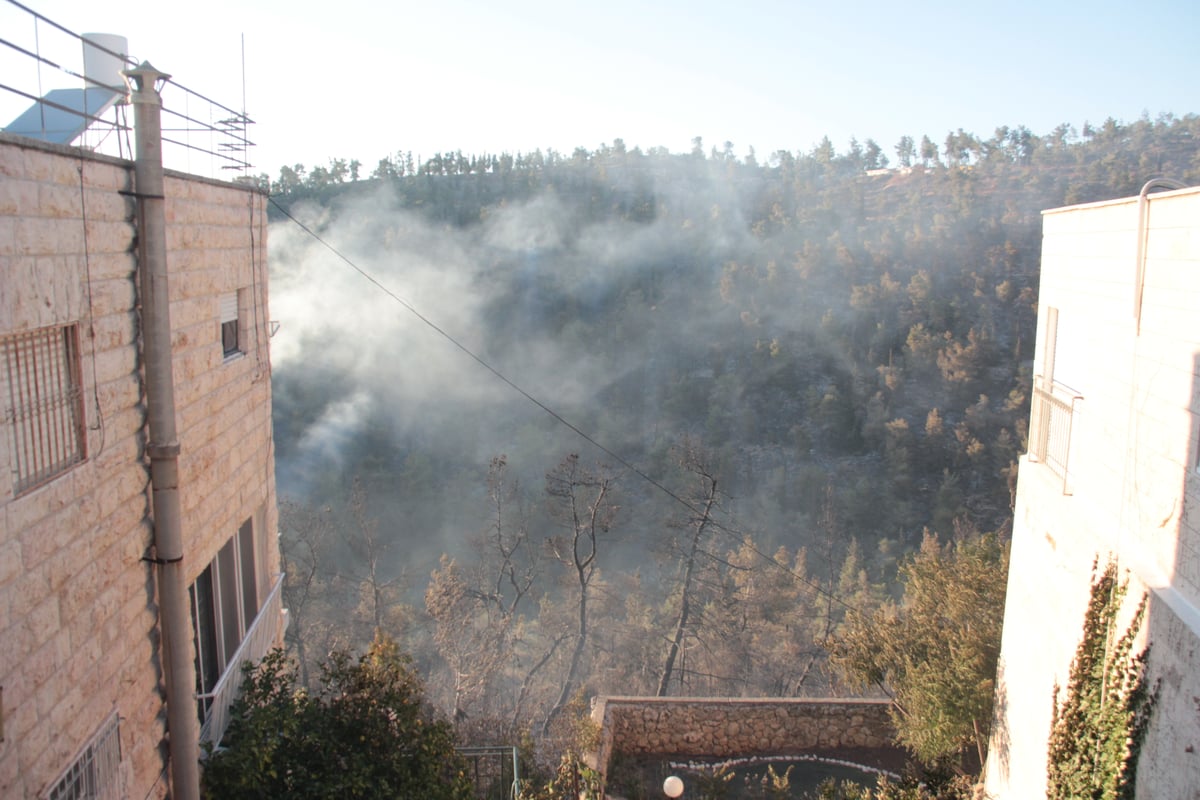 צפו: כך הושגה השליטה על השריפה