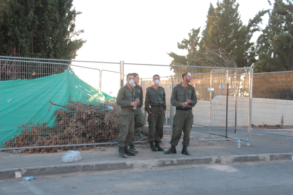 צפו: כך הושגה השליטה על השריפה