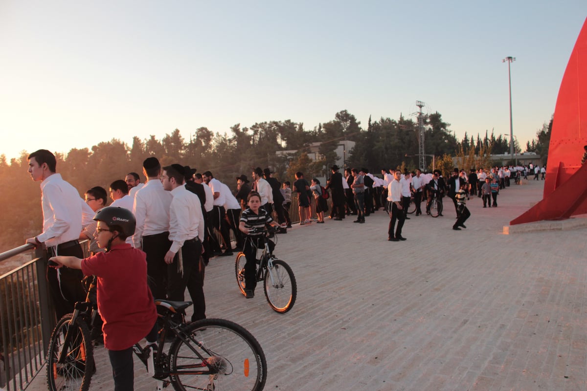 צפו: כך הושגה השליטה על השריפה