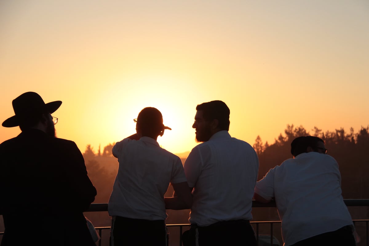 צפו: כך הושגה השליטה על השריפה