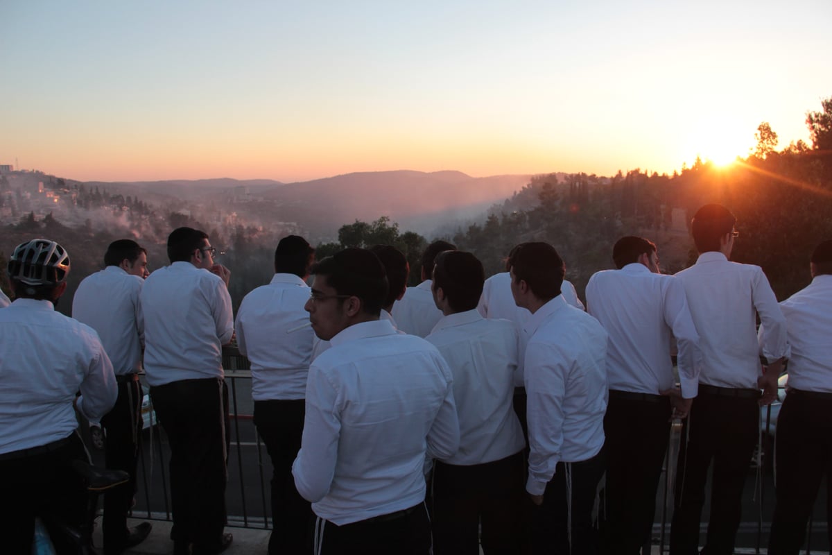 צפו: כך הושגה השליטה על השריפה