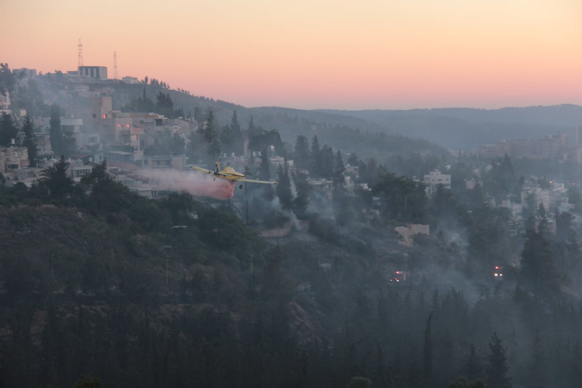 צפו: כך הושגה השליטה על השריפה