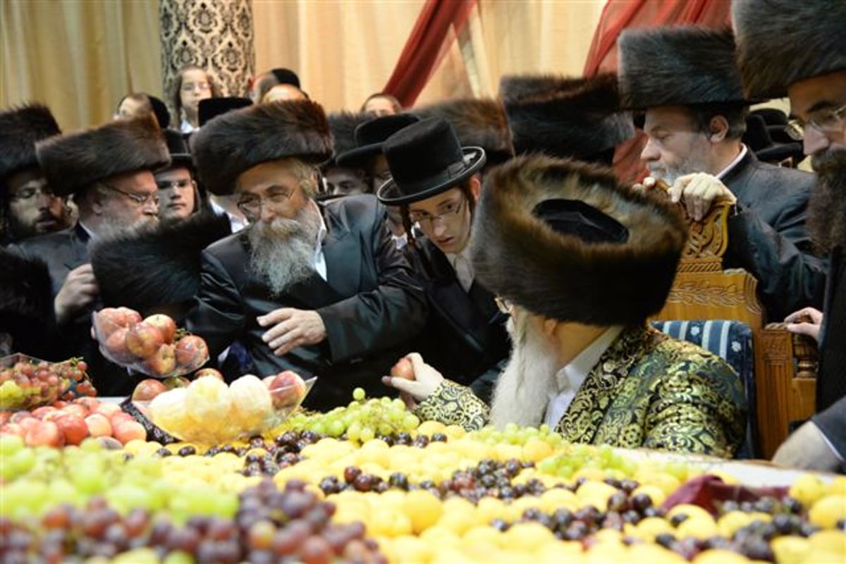 שבע ברכות אחרון בצאנז • גלריה