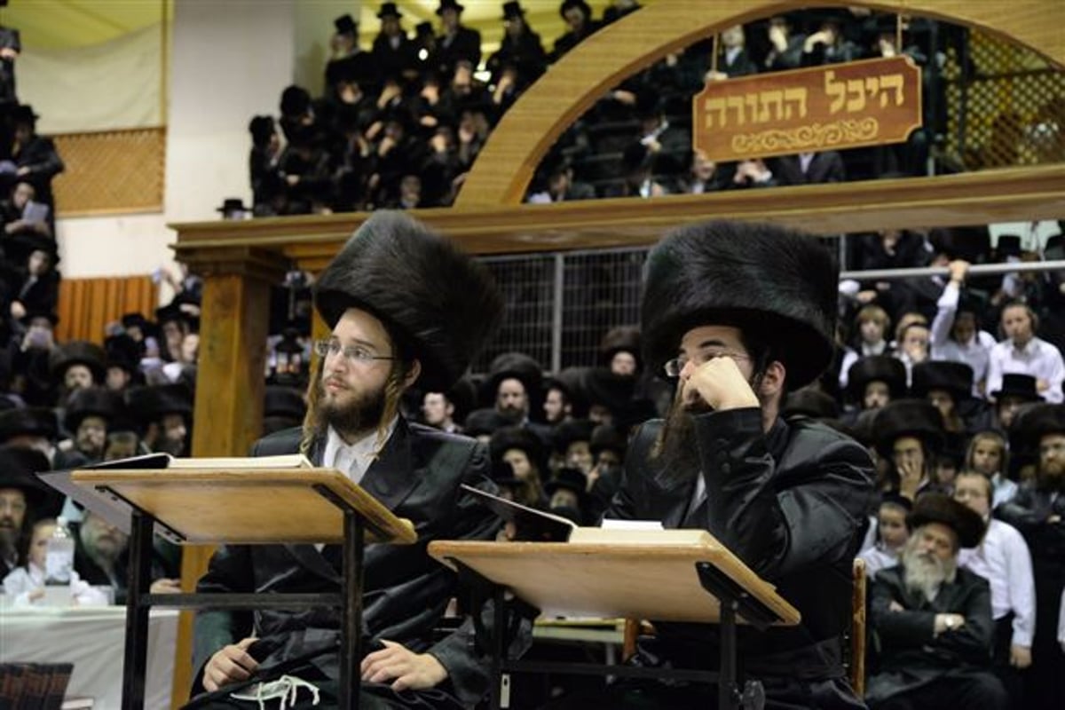 שבע ברכות אחרון בצאנז • גלריה