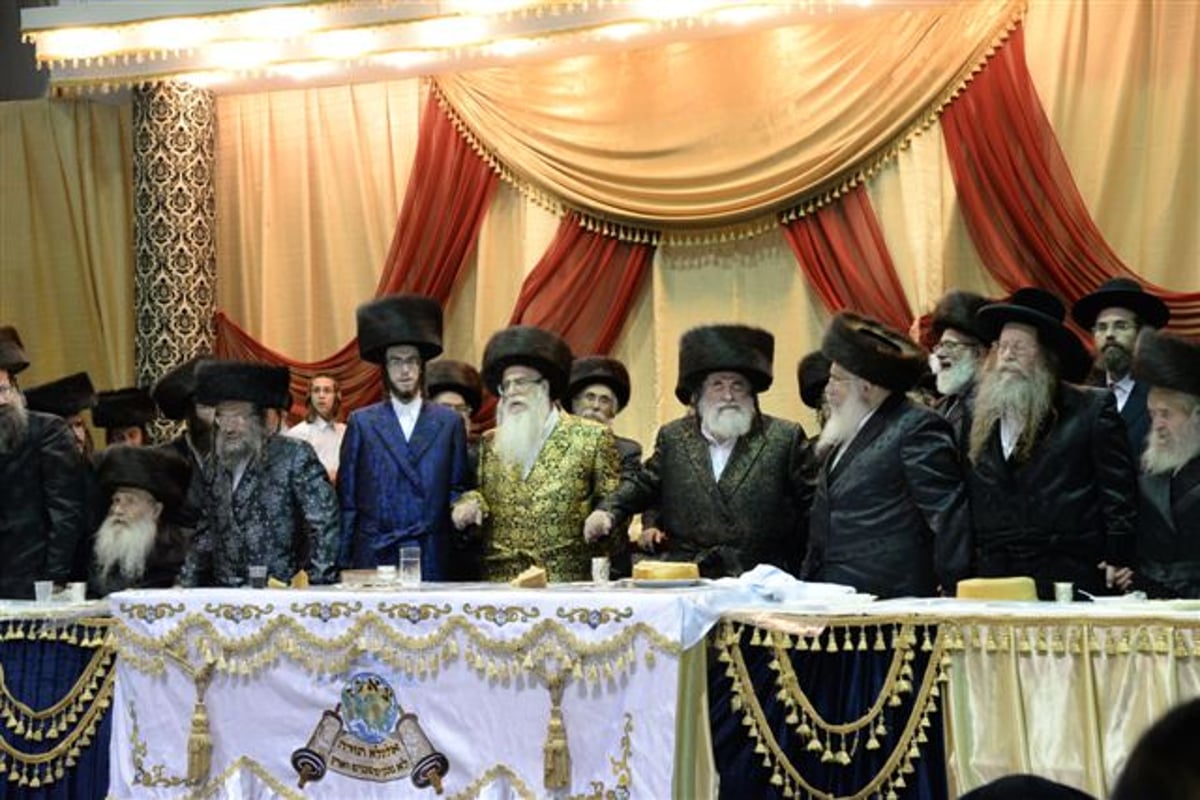 שבע ברכות אחרון בצאנז • גלריה