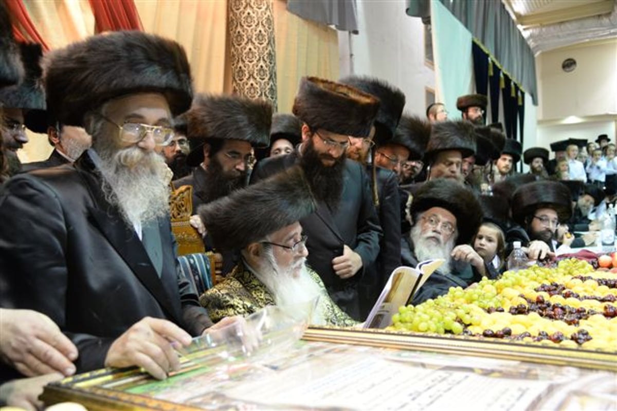 שבע ברכות אחרון בצאנז • גלריה