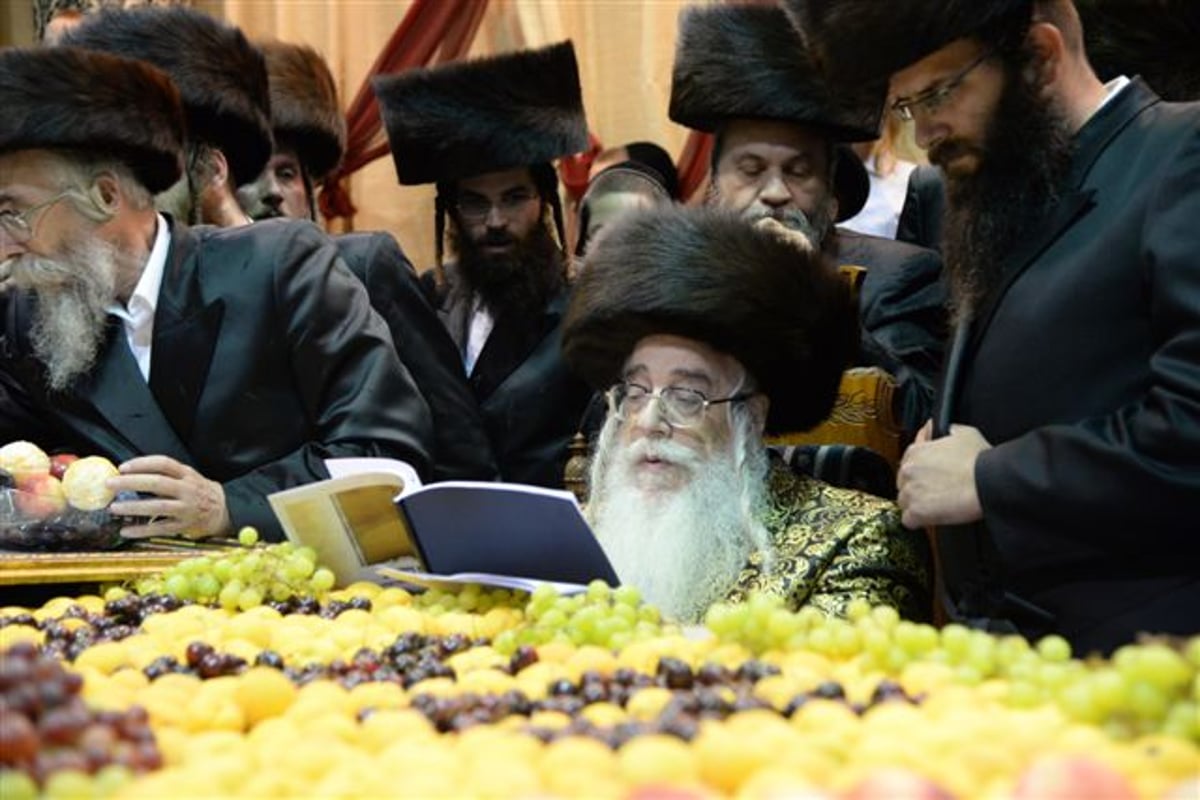 שבע ברכות אחרון בצאנז • גלריה
