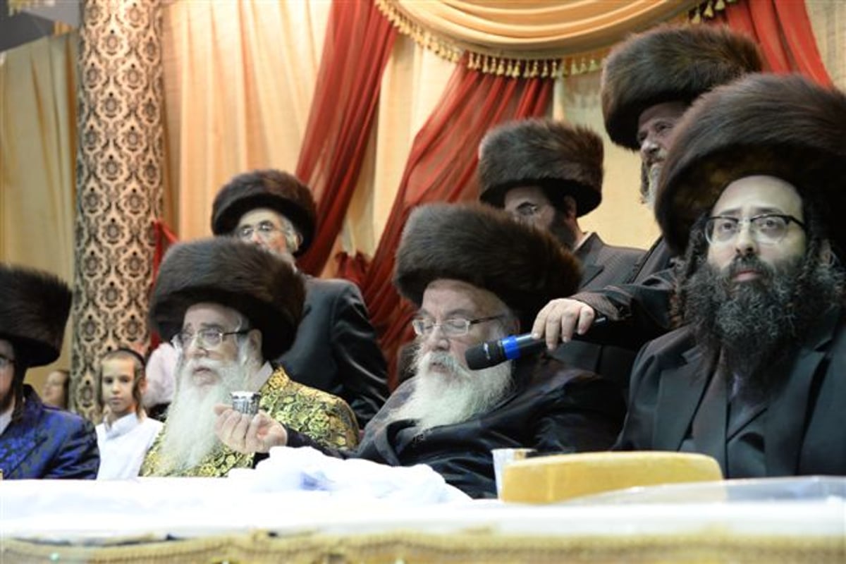 שבע ברכות אחרון בצאנז • גלריה