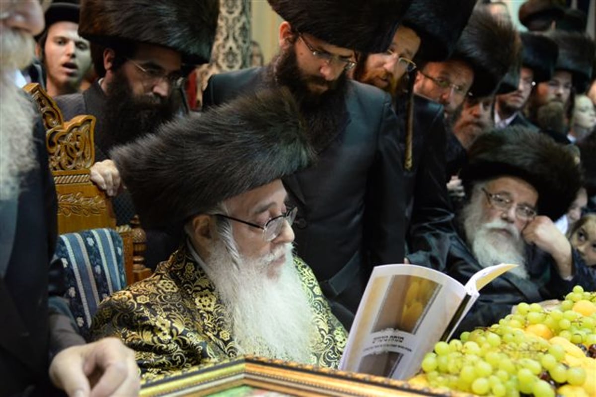 שבע ברכות אחרון בצאנז • גלריה