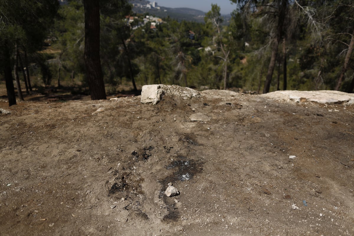 הזירה בה נמצאה הגופה ביער ירושלים, הבוקר