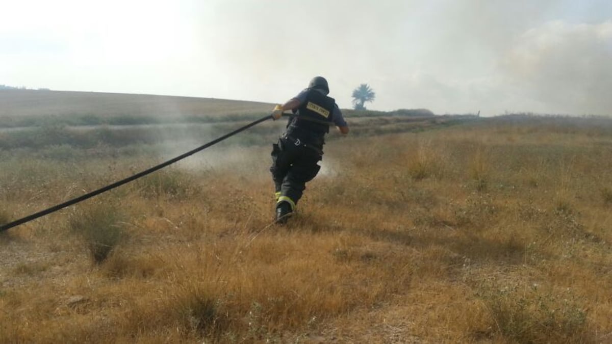 נס בחממה: אברך חסיד בעלזא ניצל מרקטה