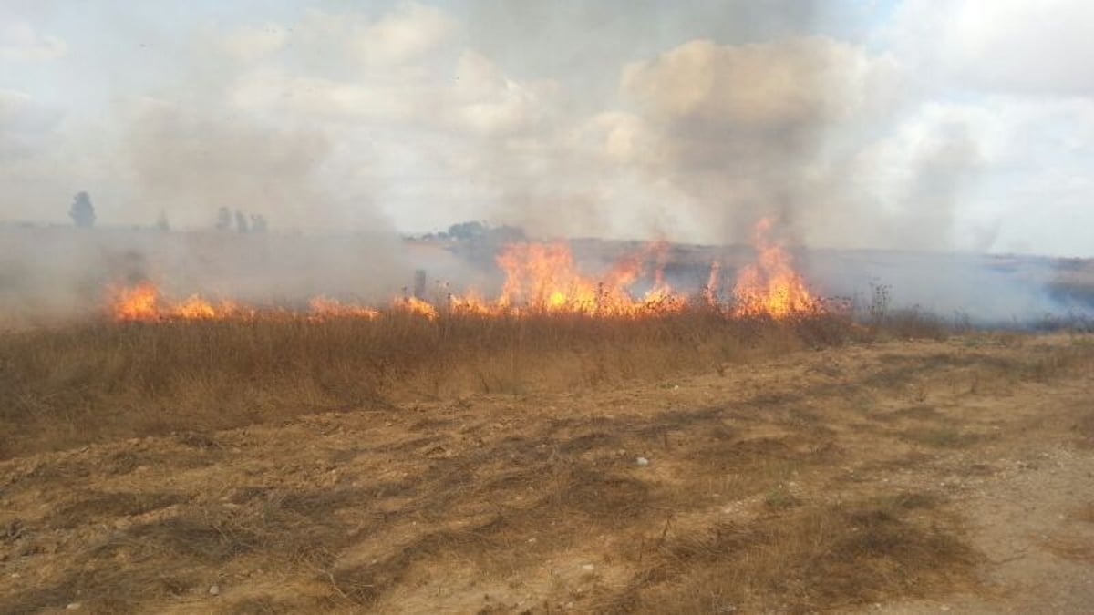 נס בחממה: אברך חסיד בעלזא ניצל מרקטה