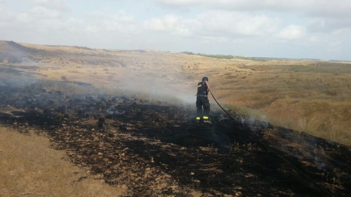 נס בחממה: אברך חסיד בעלזא ניצל מרקטה